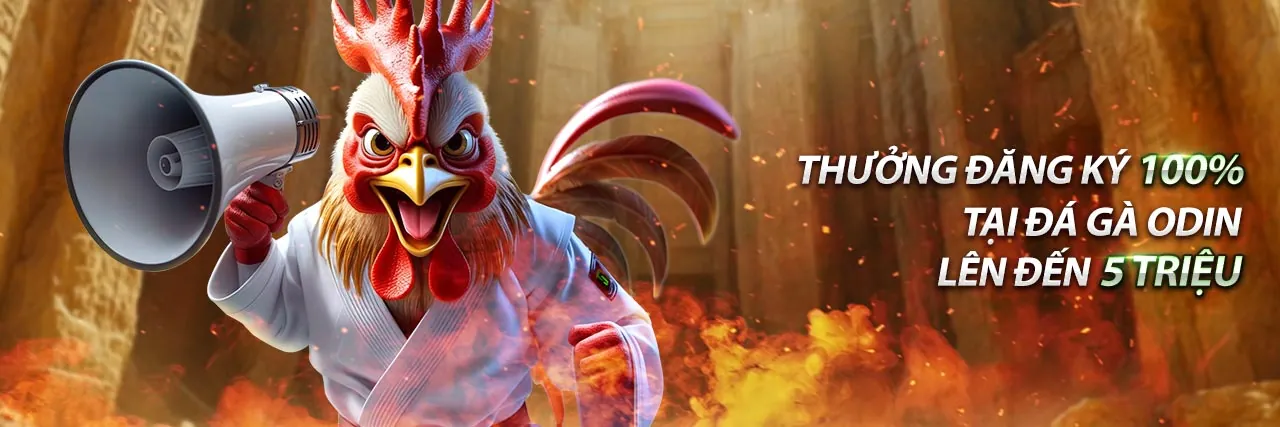 Kết luận về đá gà v7bet