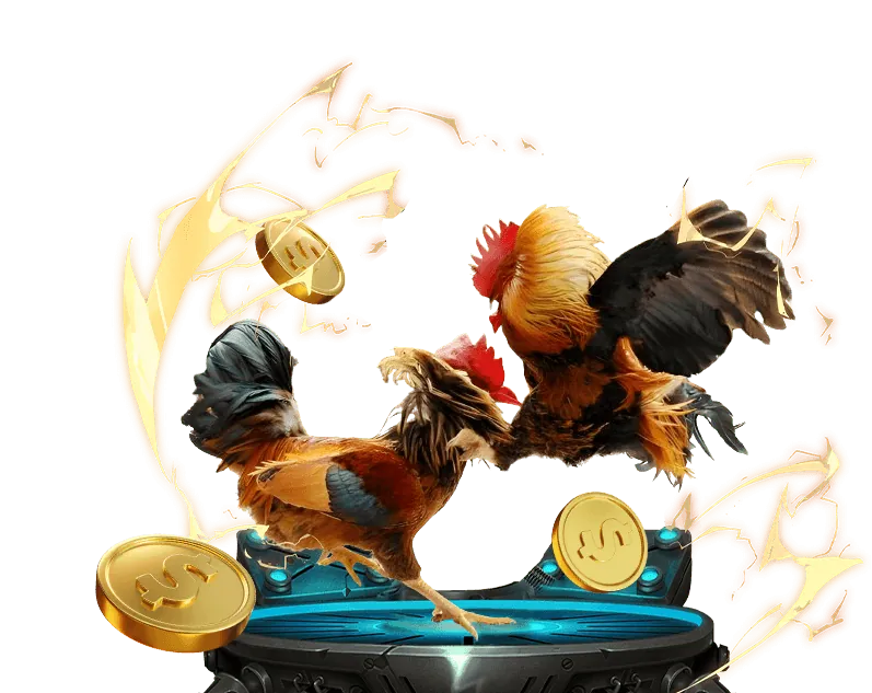 Sòng bạc v7bet sang trọng